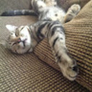 Meet your Posher, Maria